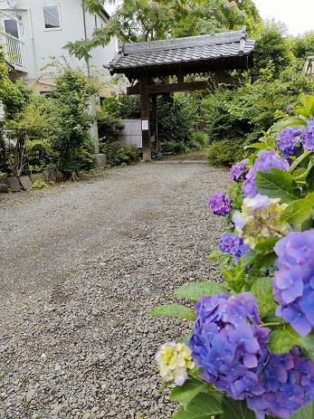 木曽の桟の絶景