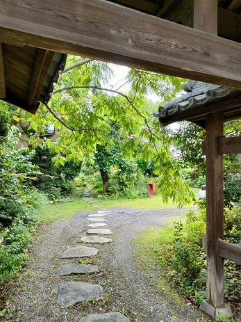 木曽の桟から見た景色