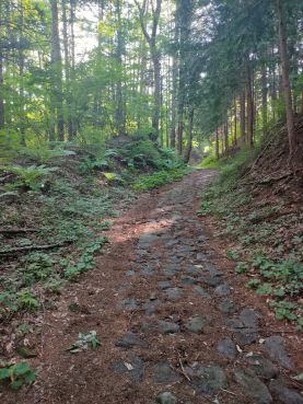 中山道の石畳（森の街道）